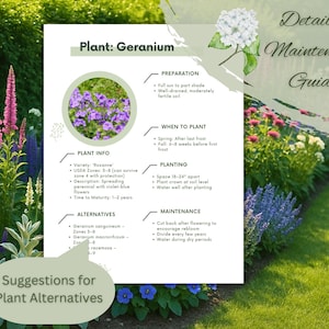 May include: A detailed maintenance guide for Geranium plants. The guide includes information on preparation, planting, and maintenance. The image features a variety of colorful flowers and text on a white background.