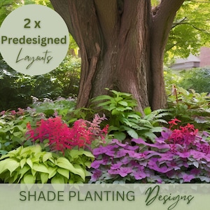 Shade Planting Landscape Design Zone 5 6 7 8 9 Preplanned Garden Shady Side Garden Plan Modern Yard Plan Under Shade Tree Yard Curb Appeal