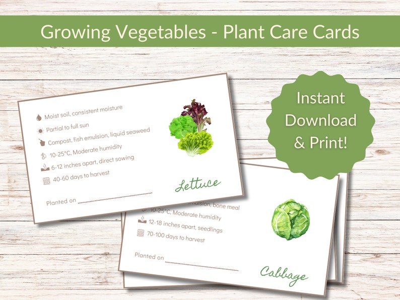 May include: Printable plant care cards for lettuce and cabbage. The cards feature watercolor illustrations of the vegetables and provide growing information, including soil type, sun exposure, temperature, spacing, and harvest time. The cards also include the text "Instant Download & Print!"