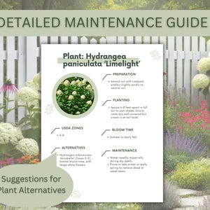 Hydrangea Garden Design Plan: Zones 4-8, Front Yard Landscape Deisgn ...