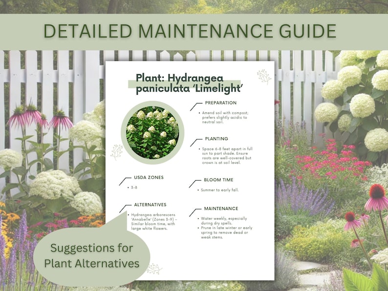 Hydrangea Garden Design Plan: Zones 4-8, Front Yard Landscape Deisgn ...