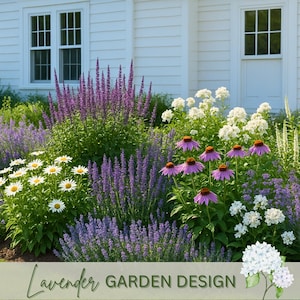 Premade cottage garden design landscape plan Full sun Lavender Preplanned pollinator Garden Modern Yard Plan Curb Appeal Zone 4 5 6 7 8 9