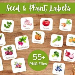 Printable Garden Plant Labels: 60 PNG Files (Digital Download)