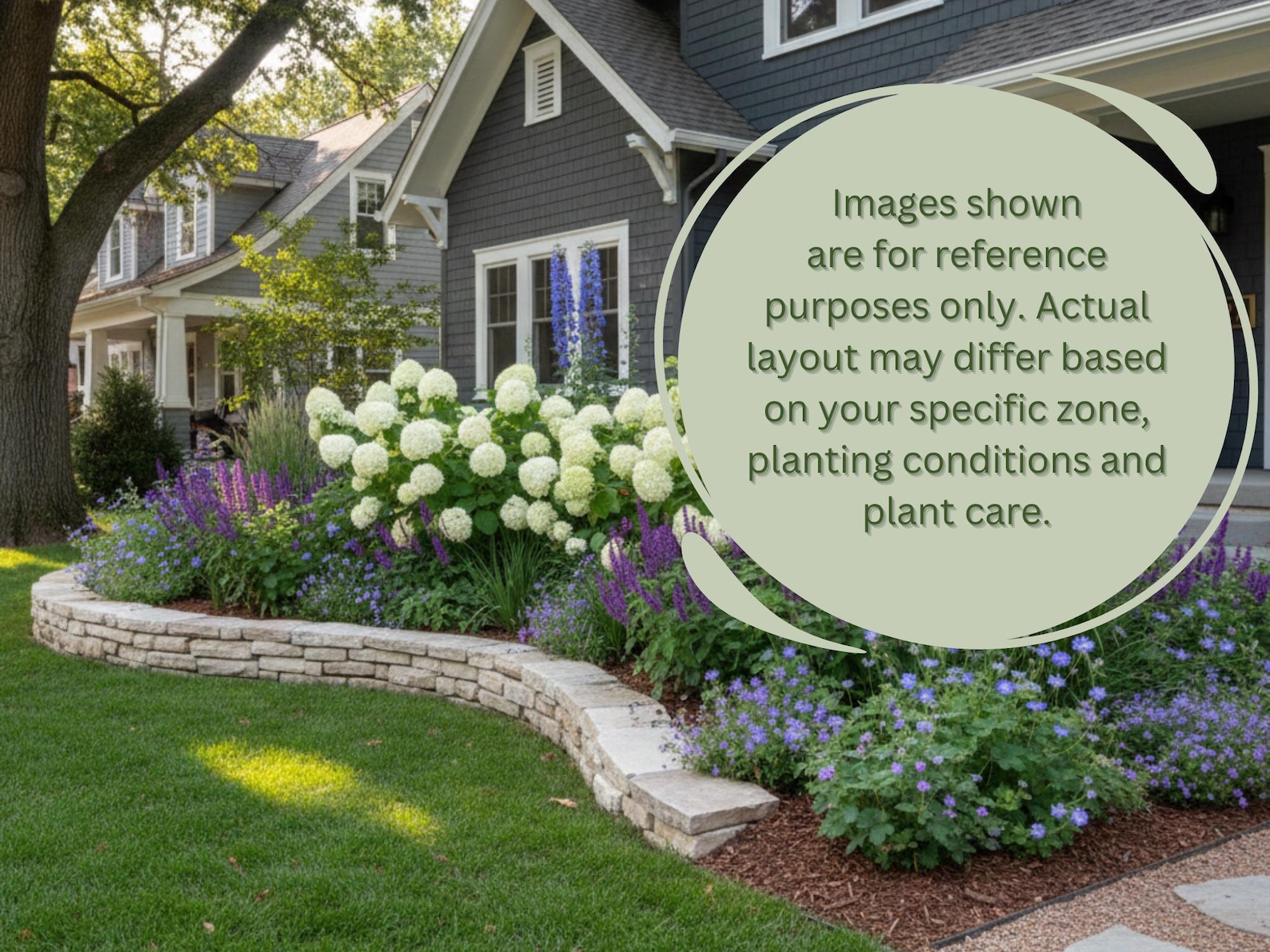 Hydrangea Landscape Design Plan Front Yard Planting Garden Design: Full ...