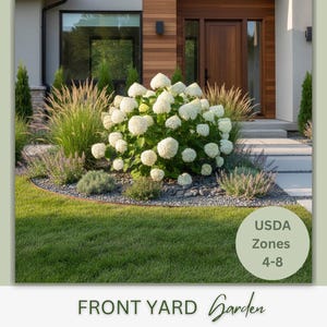 Puede incluir: Un jardín delantero con un césped verde exuberante, un gran arbusto de hortensias blancas y gramíneas ornamentales. La imagen incluye el texto "USDA Zones 4-8" y "FRONT YARD Garden". La casa tiene una puerta de madera y un diseño moderno.