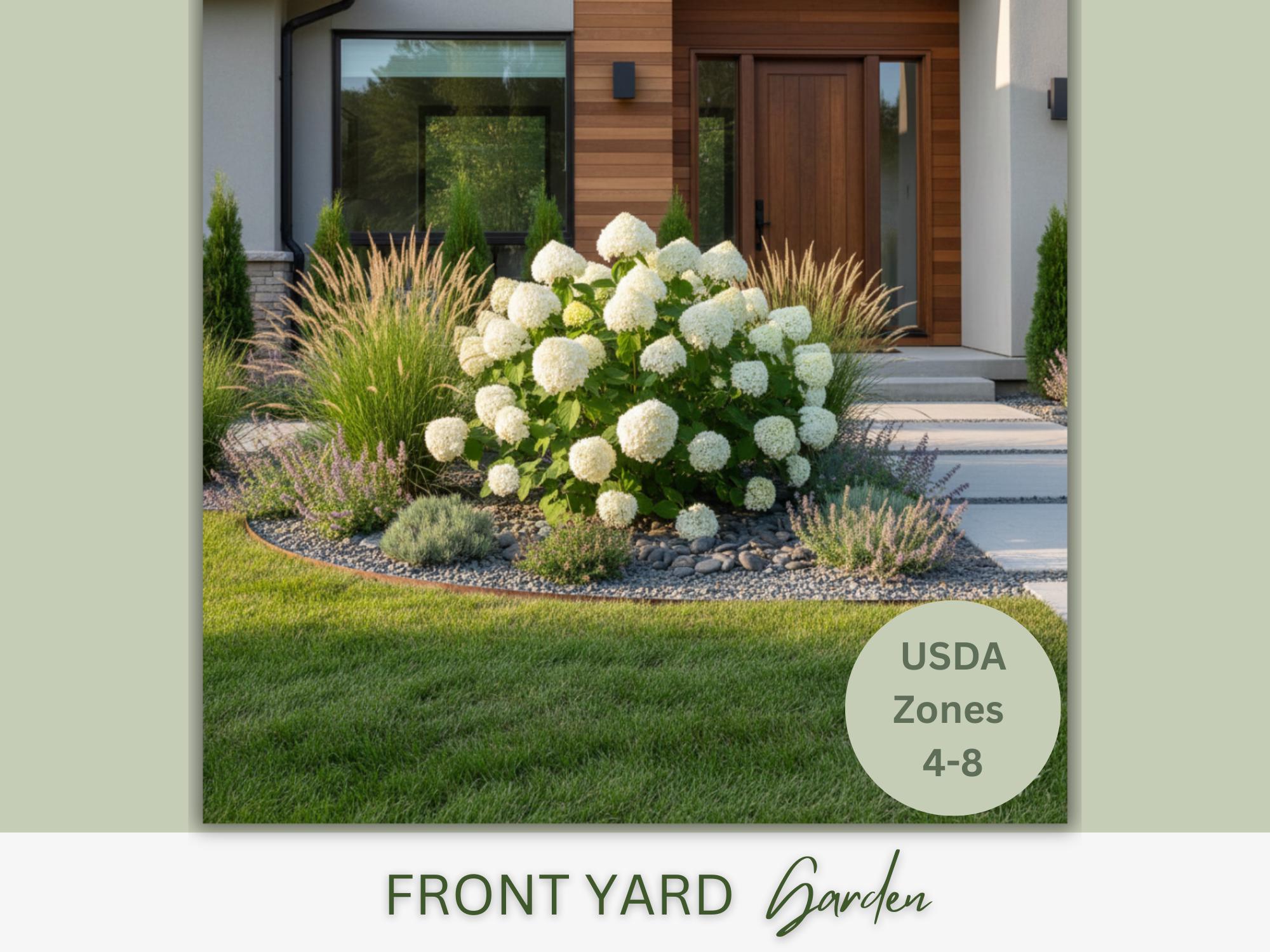 Modern Front Yard Landscape Design Plan | Hydrangea Full Sun Garden ...