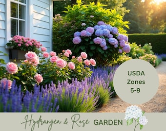 Hydrangea Landscape Design Plan | Cottage Garden Plan: Full Sun, Zones 5-9
