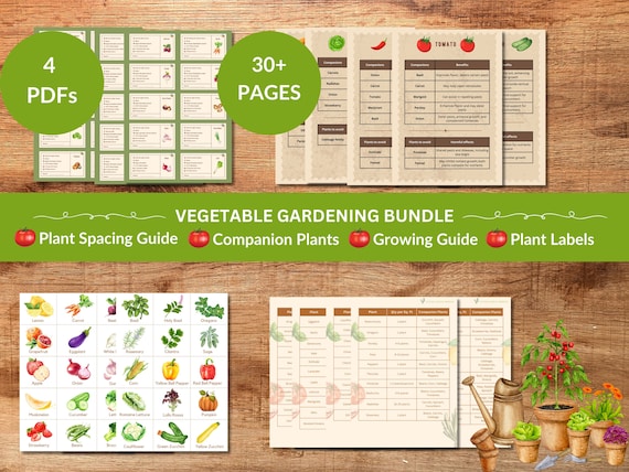 Organic Vegetable Garden Planner Bundle: Plant Care & Spacing Guide (PDF)