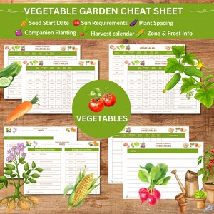 May include: Printable vegetable garden cheat sheet with a green background and illustrations of vegetables. The cheat sheet includes sections for seed start date, sun requirements, plant spacing, companion planting, harvest calendar, and zone & frost info.