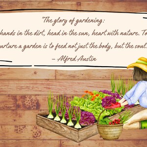 May include: A watercolor illustration of a person gardening in a wooden raised bed. The bed is filled with green lettuce, purple cabbage, and green onions. The person is wearing a blue shirt, a straw hat, and green boots. The quote "The glory of gardening: hands in the dirt, head in the sun, heart with nature. To nurture a garden is to feed not just the body, but the soul." - Alfred Austin is written on a white banner above the scene.