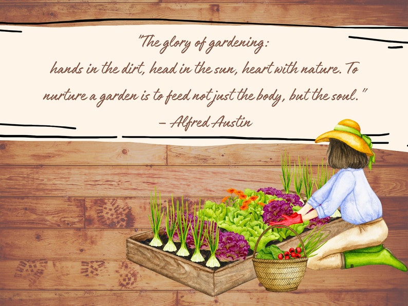May include: A watercolor illustration of a person gardening in a wooden raised bed. The bed is filled with green lettuce, purple cabbage, and green onions. The person is wearing a blue shirt, a straw hat, and green boots. The quote "The glory of gardening: hands in the dirt, head in the sun, heart with nature. To nurture a garden is to feed not just the body, but the soul." - Alfred Austin is written on a white banner above the scene.