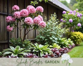 Shade Garden Design Plan: Modern Landscape Design Curb Appeal, USDA Zones 5-8 (Digital Download