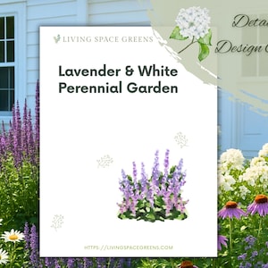 May include: A detailed design guide titled "Lavender & White Perennial Garden" with a watercolor illustration of lavender and other flowers. The guide is set against a backdrop of a white house and a garden filled with various flowers.