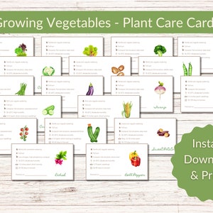 May include: Printable plant care cards featuring watercolor illustrations of various vegetables, including kale, onion, turnip, sweet potato, bell pepper, cucumber, radish, eggplant, corn, green beans, cauliflower, and lettuce. The cards include instructions for growing each vegetable, such as watering, soil type, and temperature.