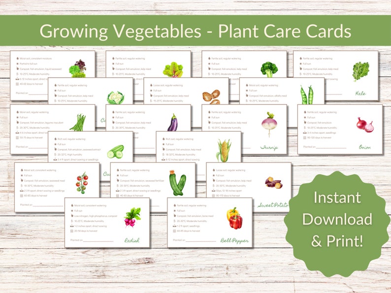 May include: Printable plant care cards featuring watercolor illustrations of various vegetables, including kale, onion, turnip, sweet potato, bell pepper, cucumber, radish, eggplant, corn, green beans, cauliflower, and lettuce. The cards include instructions for growing each vegetable, such as watering, soil type, and temperature.
