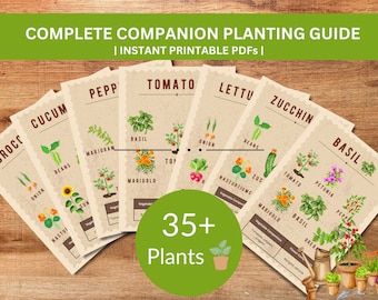 Vegetable Companion Planting Guide: Garden Planner (PDF)