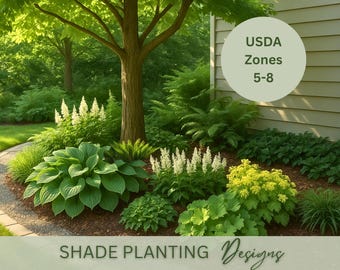 Plano de projeto de jardim sombreado: Zonas 5-8, projeto paisagístico pré-planejado para valorizar a fachada (Download digital)