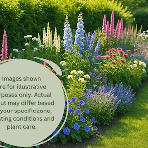 May include: A colourful flower bed with a mix of pink, blue, white, and purple flowers. The image includes text that reads: "Images shown are for illustrative purposes only. Actual layout may differ based on your specific zone, planting conditions and plant care."