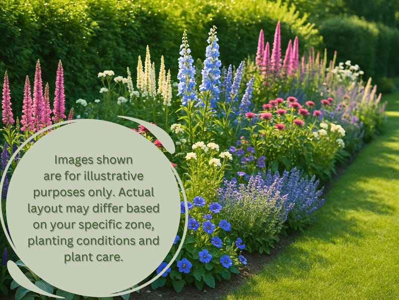 May include: A colourful flower bed with a mix of pink, blue, white, and purple flowers. The image includes text that reads: "Images shown are for illustrative purposes only. Actual layout may differ based on your specific zone, planting conditions and plant care."