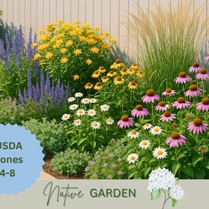 Puede incluir: Un vibrante jardín nativo con una variedad de flores coloridas. Flores moradas, amarillas y blancas se mezclan con follaje verde. La imagen incluye el texto "USDA Zones 4-8" y "Native Garden".