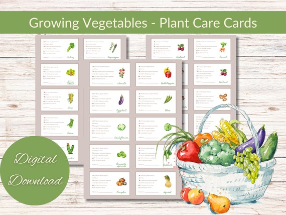 Vegetable Plant Care Cards: Seed Starting Guide (Digital Download)