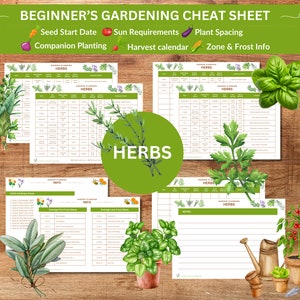 May include: Printable gardening cheat sheet for herbs. The sheet includes information on seed start dates, sun requirements, plant spacing, companion planting, harvest calendar, and zone & frost info. The sheet is decorated with watercolor illustrations of herbs.