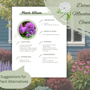 Front Yard Landscape Design: Full Sun Perennial Garden Design Plan ...