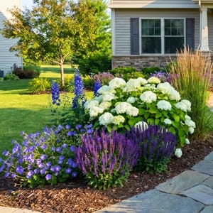 Könnte beinhalten: Ein lebendiges Blumenbeet mit einer Vielzahl farbenfroher Blumen. Weiße Hortensien, lila Salbei und blaue Rittersporne bilden eine atemberaubende Darstellung. Der Garten wird von einem Steinweg und üppigem grünen Gras gesäumt.