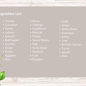 May include: A list of vegetables, organized into three columns, with the heading "Vegetables List:". The list includes common vegetables such as tomato, cucumber, carrot, lettuce, spinach, bell pepper, zucchini, onion, radish, eggplant, peas, beans, cabbage, cauliflower, broccoli, potato, sweet potato, kale, swiss chard, beetroot, corn, pumpkin, garlic, ginger, green onion, asparagus, celery, leek, brussels sprouts, turnip, squash, and okra.