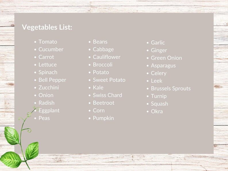 May include: A list of vegetables, organized into three columns, with the heading "Vegetables List:". The list includes common vegetables such as tomato, cucumber, carrot, lettuce, spinach, bell pepper, zucchini, onion, radish, eggplant, peas, beans, cabbage, cauliflower, broccoli, potato, sweet potato, kale, swiss chard, beetroot, corn, pumpkin, garlic, ginger, green onion, asparagus, celery, leek, brussels sprouts, turnip, squash, and okra.