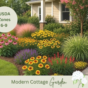 Pode incluir: Um canteiro de jardim vibrante com uma variedade de flores coloridas, incluindo equináceas rosa, girassóis amarelos e sálvia roxa. A imagem inclui o texto "USDA Zones 6-9" e "Modern Cottage Garden".