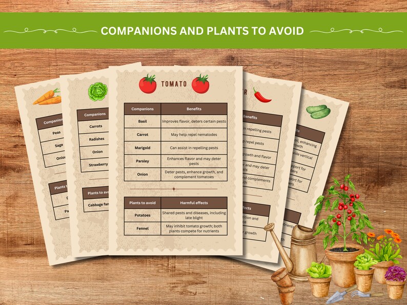 May include: A guide to companion planting and plants to avoid for tomatoes, peppers, and cucumbers. The guide lists plants that can be planted together to improve flavour, deter pests, and enhance growth. It also lists plants that should be avoided because they can share pests and diseases, inhibit growth, or compete for nutrients.