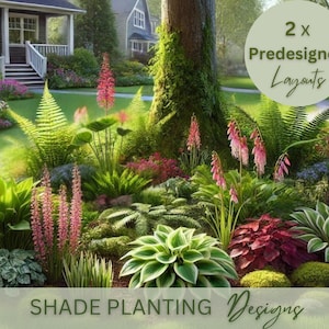 Large Shade Planting Landscape Design Zone 4 5 6 7 8 Preplanned Garden Shady Side Garden Plan Modern Yard Plan Under Shade Tree Curb Appeal