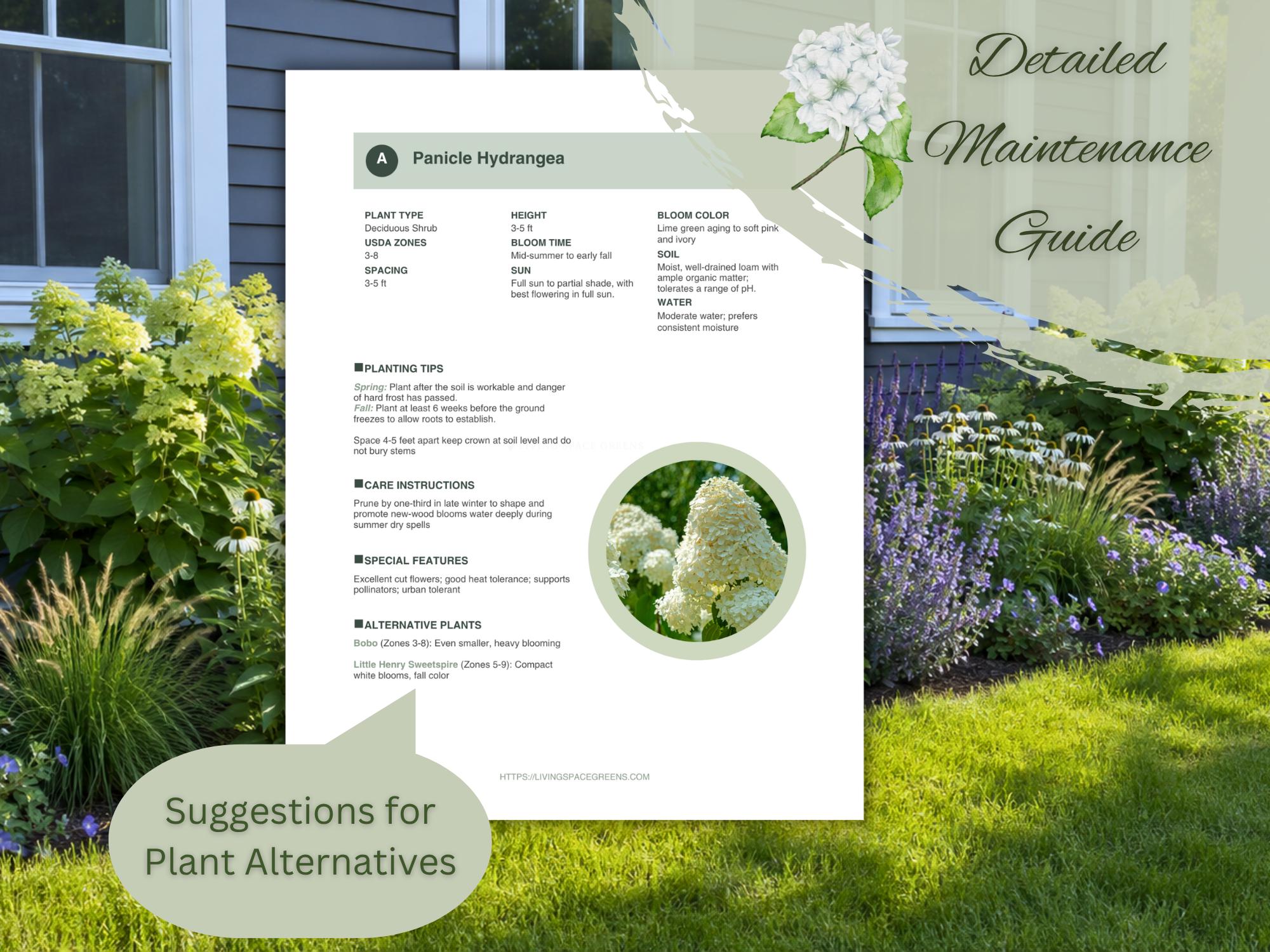 Hydrangea Garden Design Plan: Full Sun Front Yard Landscape Design ...