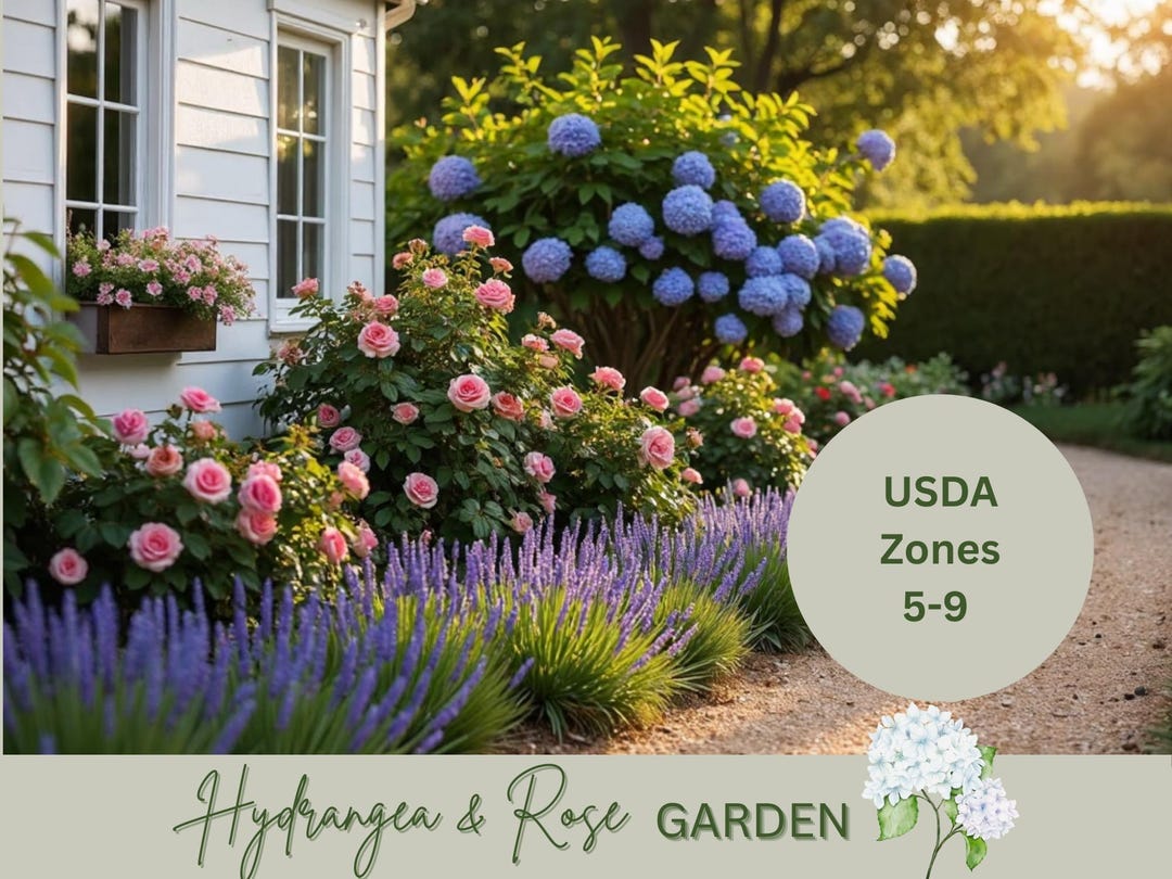 Hydrangea Landscape Cottage Garden Plan: Full Sun, Zones 5-9 - Etsy