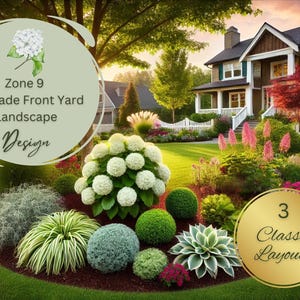 Zone 9 Hydrangea Landscape Design (Partial Shade): Premade Front Yard Plan Curb Appeal
