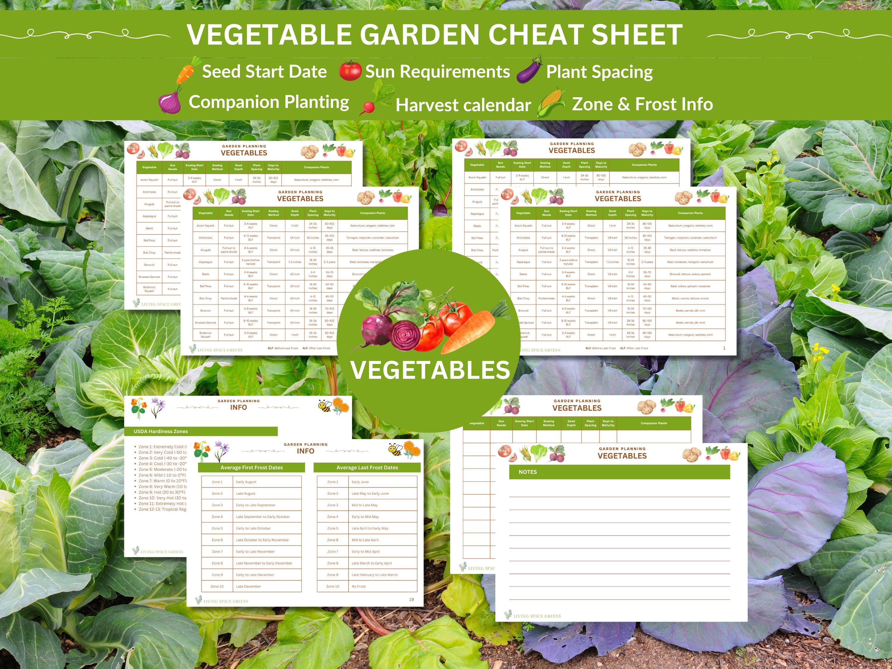 Vegetable Garden Planner: Seed Starting Guide (digital Download) - Etsy, image size:3000x2250