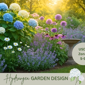 Può includere: Una vivace scena di giardino con ortensie blu, bianche e gialle, margherite e fiori di allium viola. È visibile un abbeveratoio in pietra e l'immagine include il testo "Hydrangea Garden Design" e "USDA Zones 5-9."