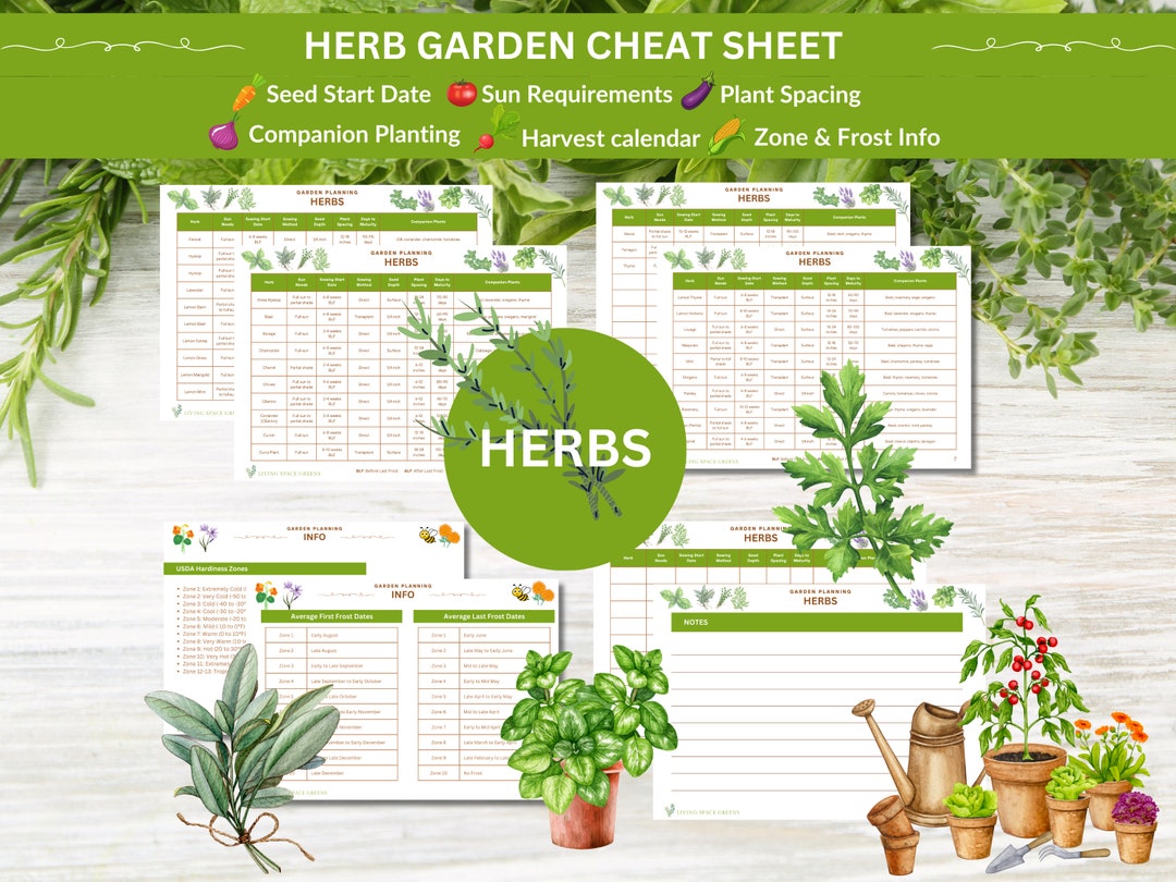 Herb Garden Planner: Seed Starting Guide, Companion Planting (PDF) - Etsy
