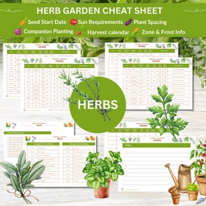Puede incluir: Una colorida hoja de trucos para el jardín de hierbas con el texto "HERB GARDEN CHEAT SHEET". La hoja incluye secciones para las fechas de inicio de la siembra, los requisitos de sol, el espaciamiento de las plantas, la plantación de compañía, el calendario de cosecha y la información de zonas y heladas.