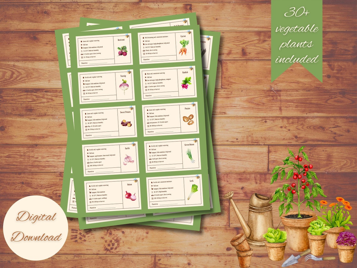 Plant Care Cards, Plant Labels, Printable Plant Care Instructions Tag ...