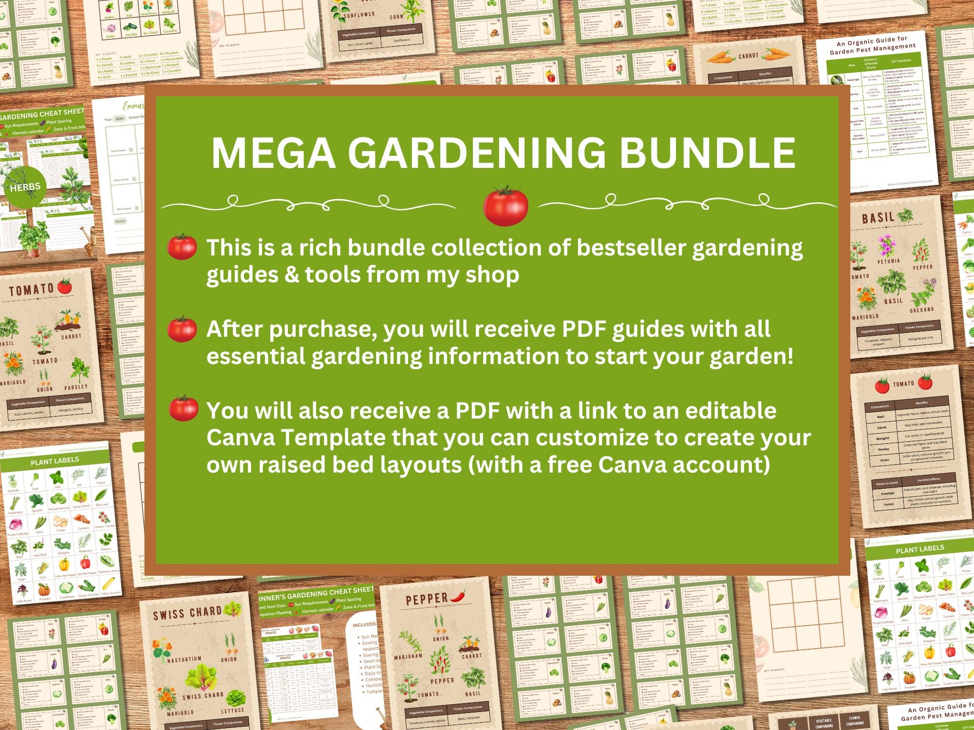 Vegetable Gardening Guide For Seed Starting Vegetable Plants Layout For
