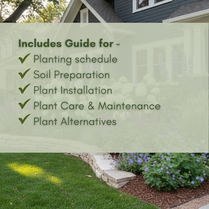 Hydrangea Landscape Design Plan Front Yard Planting Garden Design: Full ...