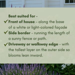 May include: A light green sign with text about the best uses for plants. The sign suggests planting in front of a house, along a side border, or along a driveway or walkway edge. The background includes purple and white flowers.