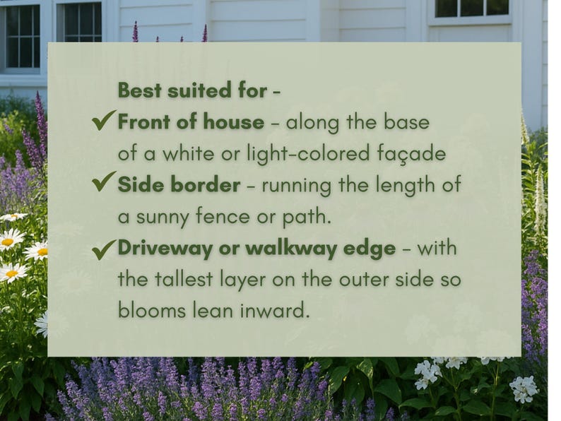 May include: A light green sign with text about the best uses for plants. The sign suggests planting in front of a house, along a side border, or along a driveway or walkway edge. The background includes purple and white flowers.