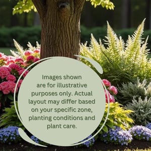 May include: A colourful garden bed with diverse plants. Pink flowering shrubs, blue and green foliage, and ferns surround a tree trunk. The image includes text stating the layout may vary.