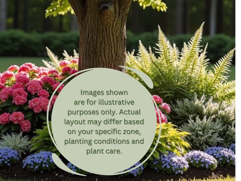 May include: A colourful garden bed with diverse plants. Pink flowering shrubs, blue and green foliage, and ferns surround a tree trunk. The image includes text stating the layout may vary.
