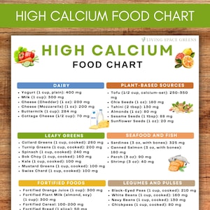 Tabela de alimentos ricos em cálcio: Guia de dieta para a saúde óssea (download digital)