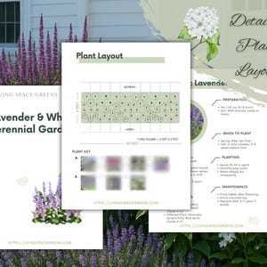 May include: A detailed plant layout guide for lavender and white perennial gardens. The guide includes a plant layout diagram, plant key, and information on preparation, planting, and maintenance. The image features a white house and lavender plants.