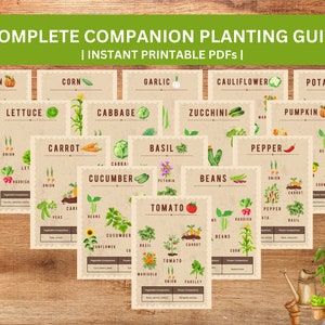 Guía de siembra complementaria, Imprimible, Planificador de jardines en pies cuadrados, Planificador de canteros elevados, Guía de jardinería, Planificador de plantas, Planificador de jardines